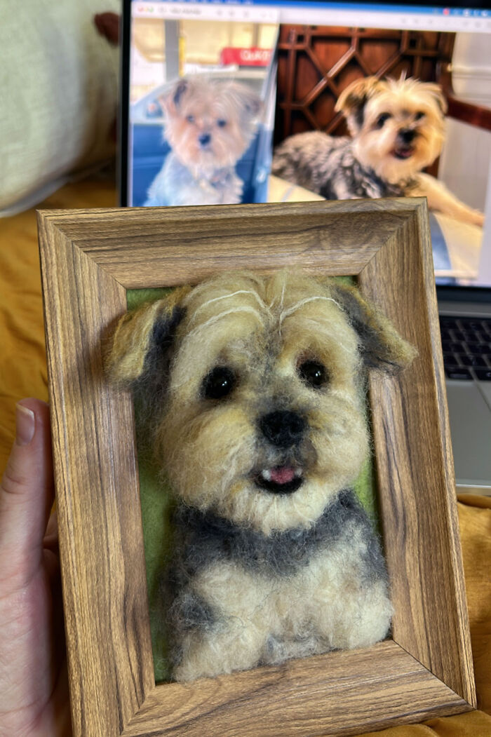 Artist Warms The Hearts Of Tutors With Felt Dolls Of Their Pets