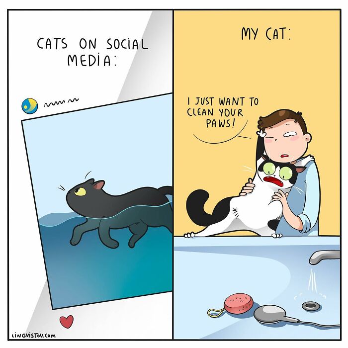 46 New Hilarious Comics About The Realistic Life Of Cat Owners