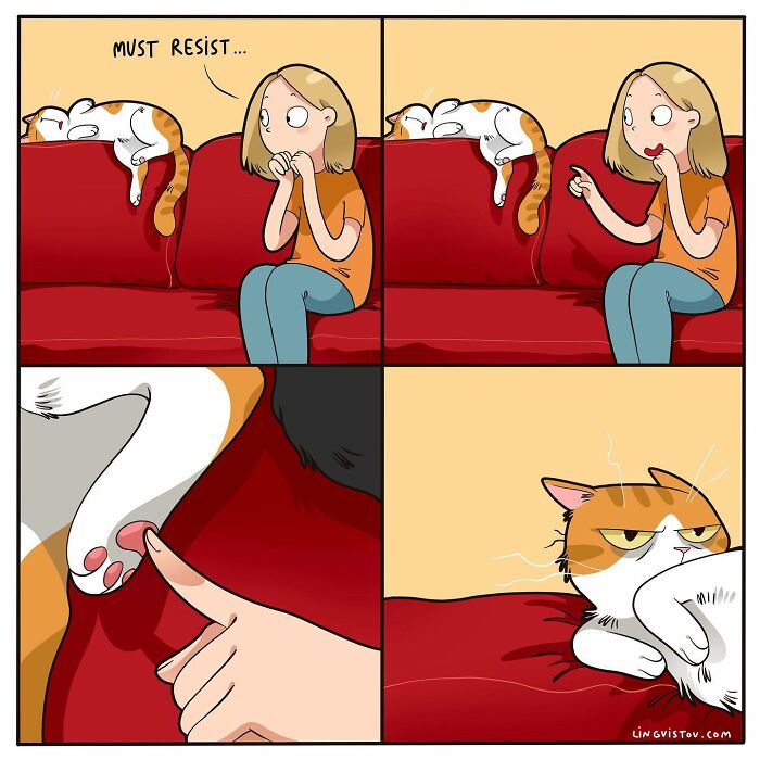 46 New Hilarious Comics About The Realistic Life Of Cat Owners