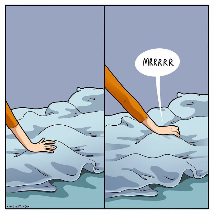 The Daily Realities Of Living With A Cat, Perfectly Captured By This Artist (40 New Pics)