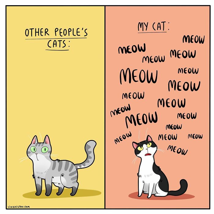 46 New Hilarious Comics About The Realistic Life Of Cat Owners