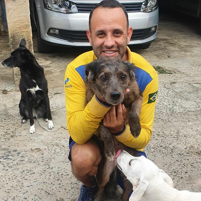 Meet The Brazilian Postman Who Conquers The Friendship Of Dogs And Cats Wherever He Goes (40 New Pics)
