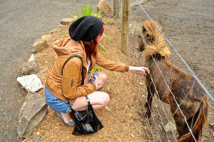 Man Is Completely In Love With His Roommate But Is Afraid To Do Anything, The Internet Convinces Him To Confess, He Listens And Gets A Happy Ending Man Is Completely In Love With His Roommate But Is Afraid To Do Anything, The Internet Convinces Him To Confess, He Listens And Gets A Happy Ending