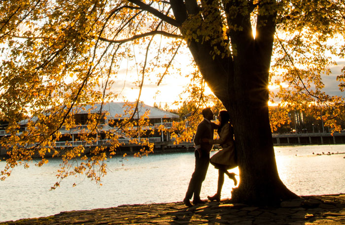 After A Break-Up, Ex-Boyfriend Cut Down “Their” Tree, So This Woman Forwarded His Text Bragging About It Right To The Property Manager After A Break-Up, Ex-Boyfriend Cut Down “Their” Tree, So This Woman Forwarded His Text Bragging About It Right To The Property Manager