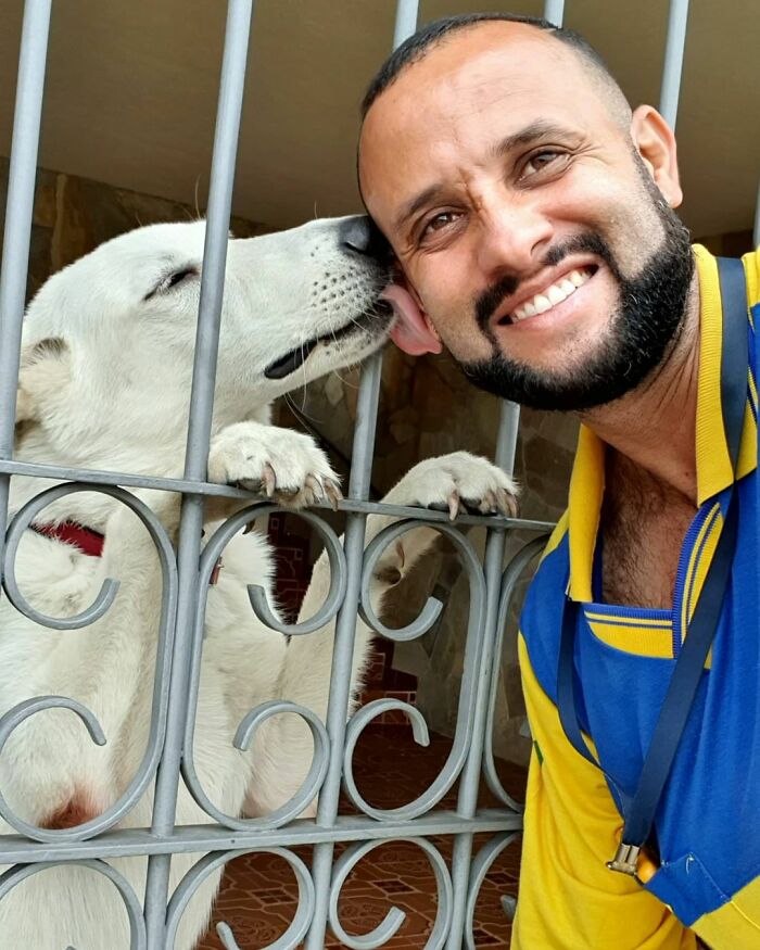 Meet The Brazilian Postman Who Conquers The Friendship Of Dogs And Cats Wherever He Goes (40 New Pics)