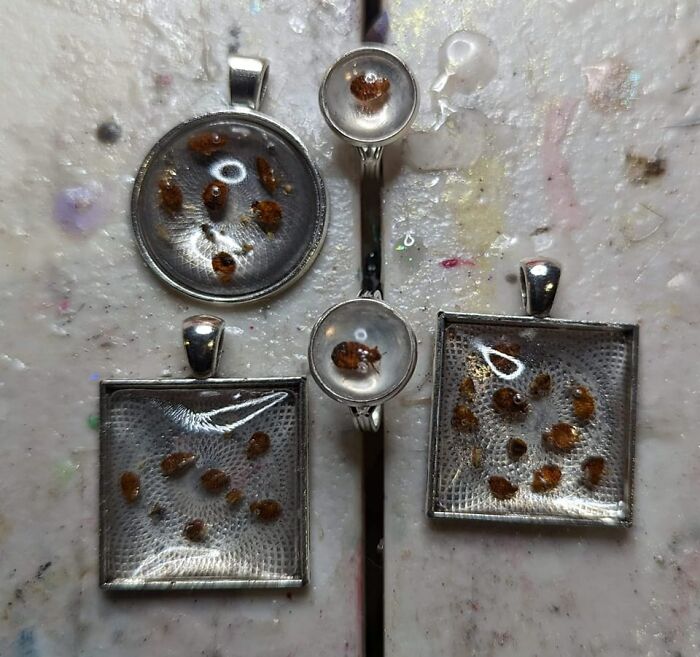 Yes Those Are Bed Bugs