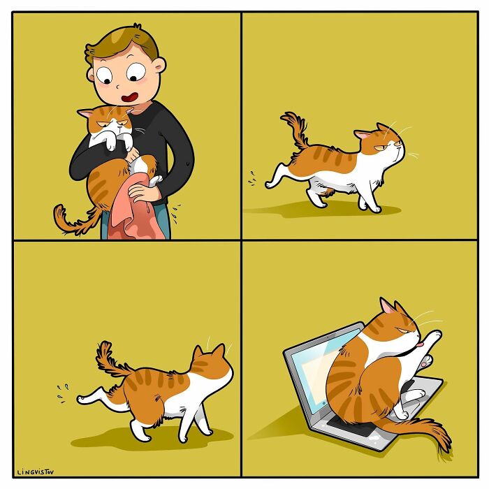 The Daily Realities Of Living With A Cat, Perfectly Captured By This Artist (40 New Pics)