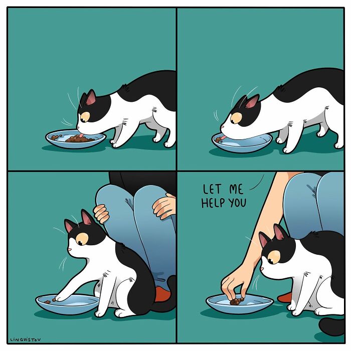 46 New Hilarious Comics About The Realistic Life Of Cat Owners
