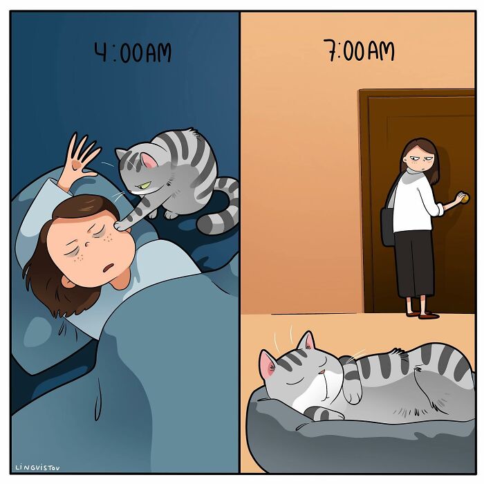 The Daily Realities Of Living With A Cat, Perfectly Captured By This Artist (40 New Pics)