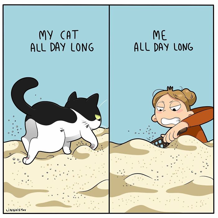 46 New Hilarious Comics About The Realistic Life Of Cat Owners