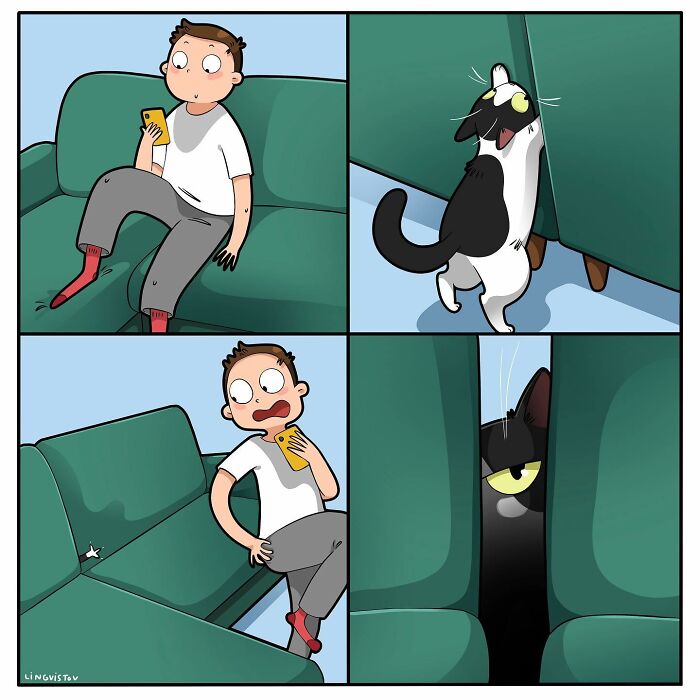The Daily Realities Of Living With A Cat, Perfectly Captured By This Artist (40 New Pics)
