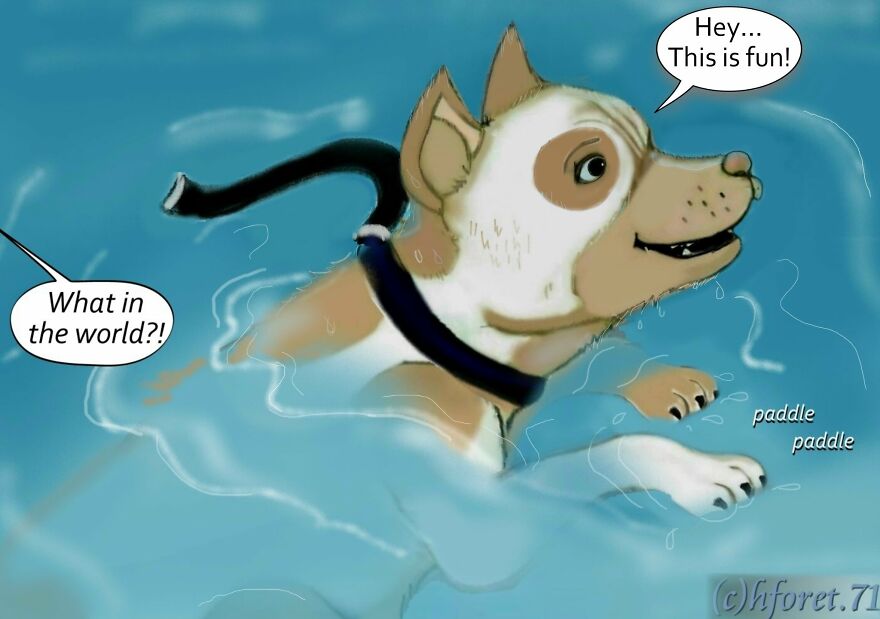 I Created An Illustrated Comic Series Called "King...": Conclusion (12 Pics)