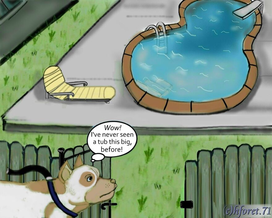 I Created An Illustrated Comic Series Called "King...": Conclusion (12 Pics)