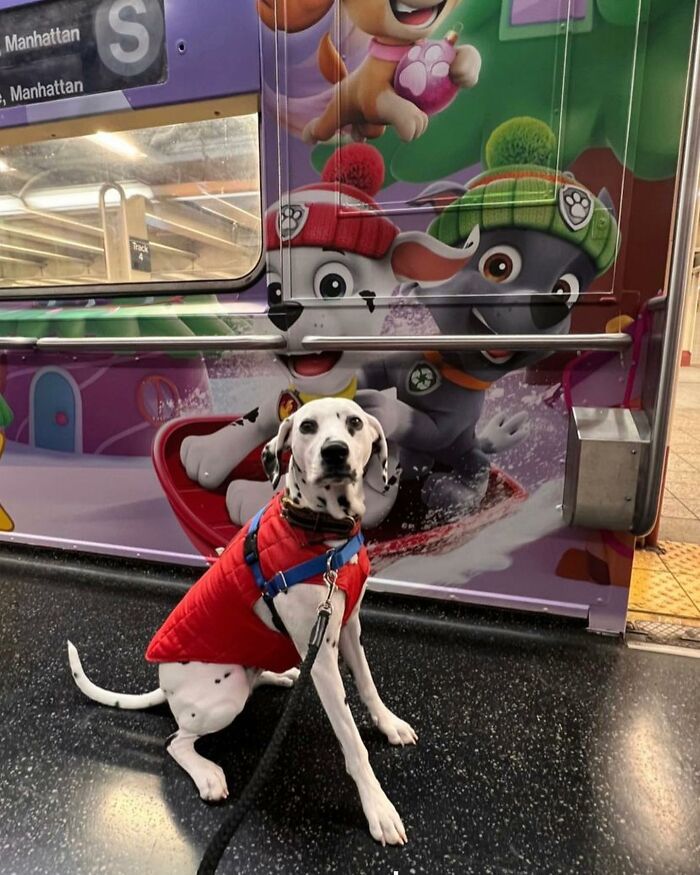 Subway-Signs-Resemble-Sitting-People