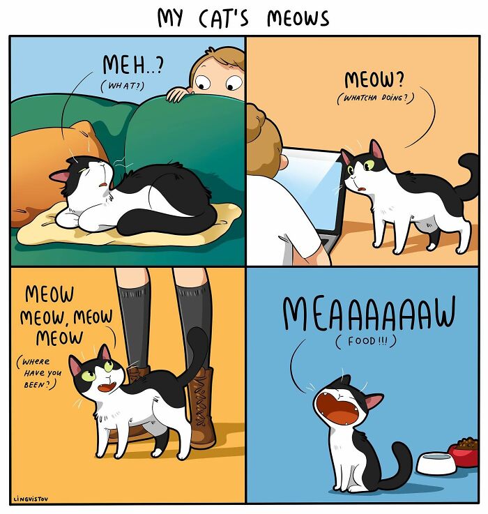 46 New Hilarious Comics About The Realistic Life Of Cat Owners