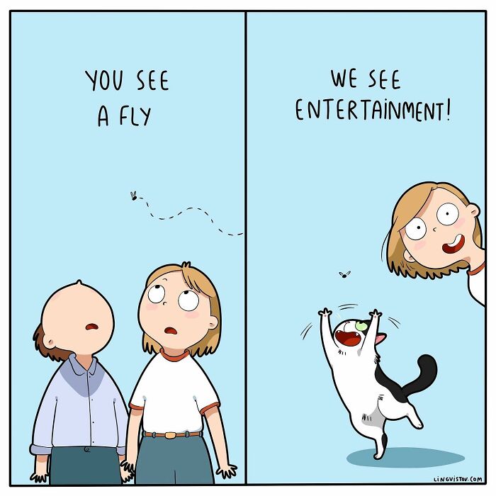 46 New Hilarious Comics About The Realistic Life Of Cat Owners