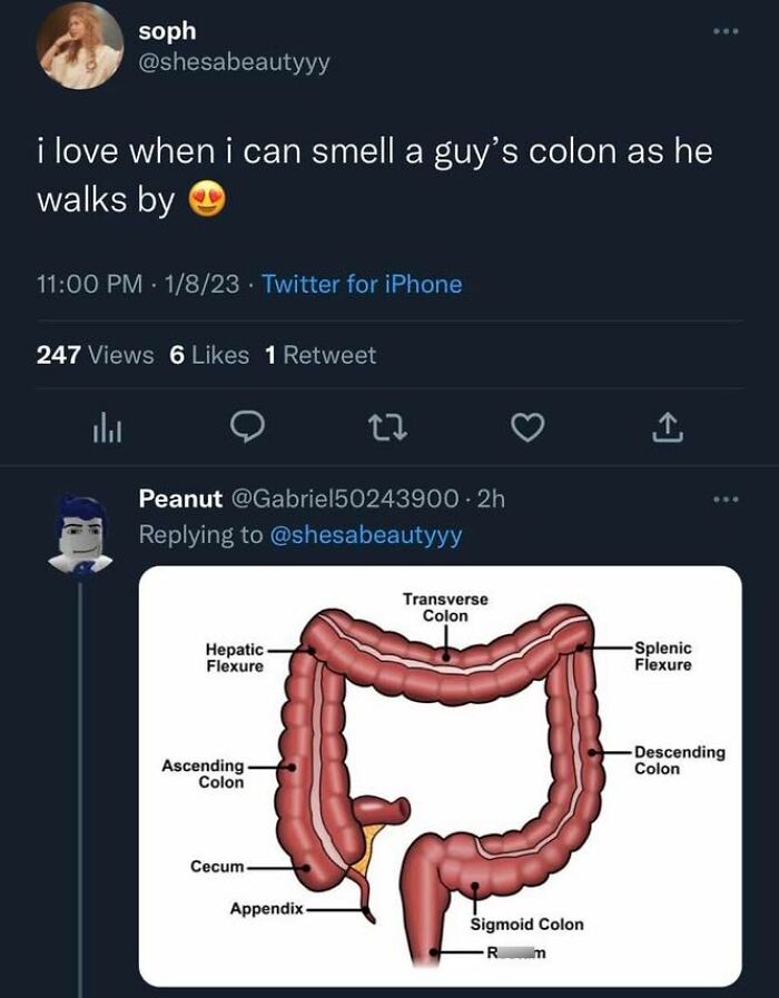 Things That Are Not Aesthetic