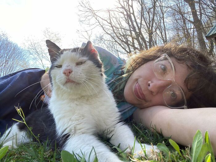 A Friendship That Lasted For Almost A Decade Resulted In This Senior Feral Cat Becoming An Indoor Pet A Friendship That Lasted For Almost A Decade Resulted In This Senior Feral Cat Becoming An Indoor Pet