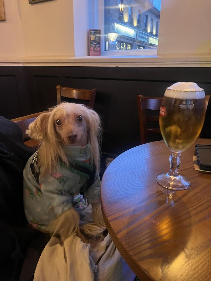 Prince, And His Very ✨fresh✨ Haircut