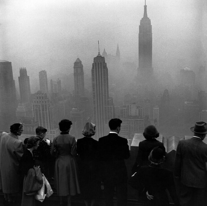 Instagram Account With Over 574 Thousand Followers Features Amusing Street Photos (30 New Pics)