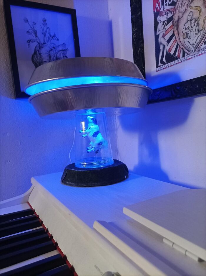 It’s The Pie Tins For Me