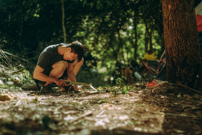 After A Break-Up, Ex-Boyfriend Cut Down “Their” Tree, So This Woman Forwarded His Text Bragging About It Right To The Property Manager After A Break-Up, Ex-Boyfriend Cut Down “Their” Tree, So This Woman Forwarded His Text Bragging About It Right To The Property Manager