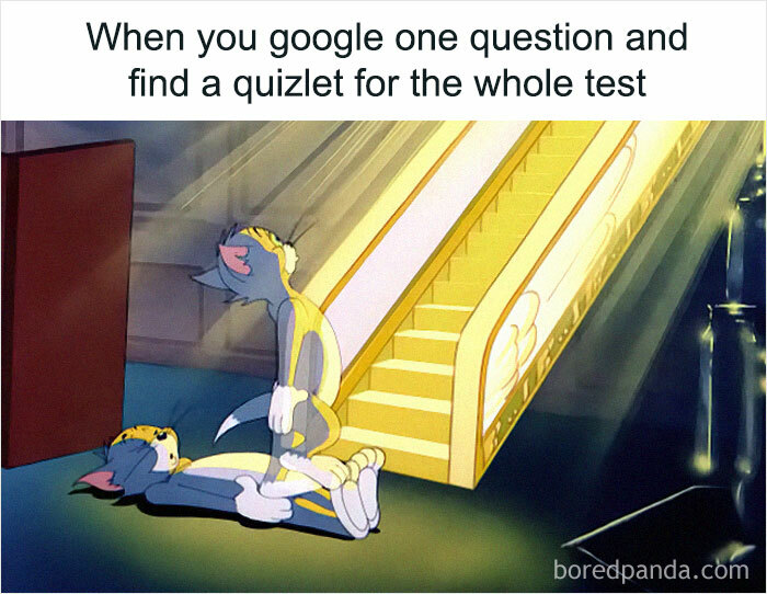 Cartoon cats expressing surprise, capturing student life humor and relatable meme moment.