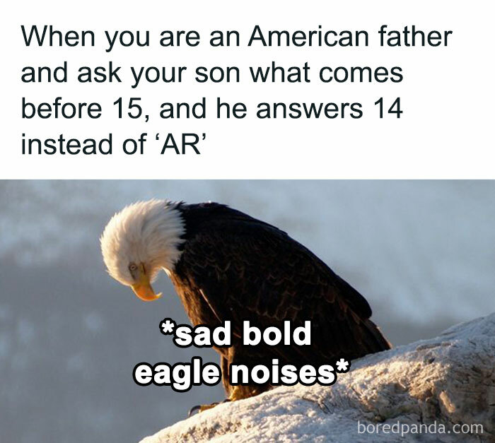 This-Is-Violently-American-Posts