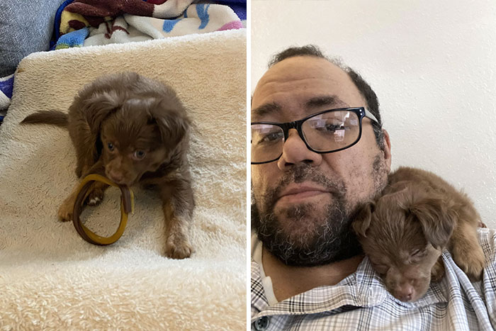 Meet The Newest Member Of The Family, Charlie Brown!