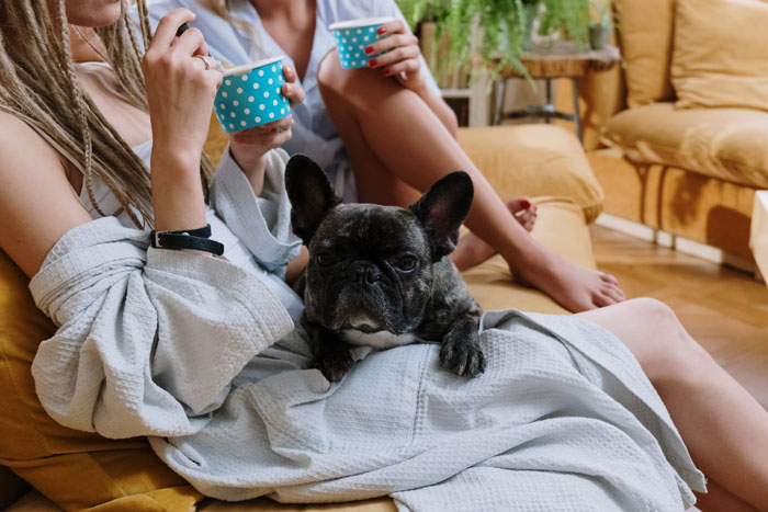 &ldquo;I Said No Thank You&rdquo;: Woman Demands Ex Pay For Her Dog's Vet Bills, Contacts His Close Ones To Make Him Change His Mind After Getting A Refusal