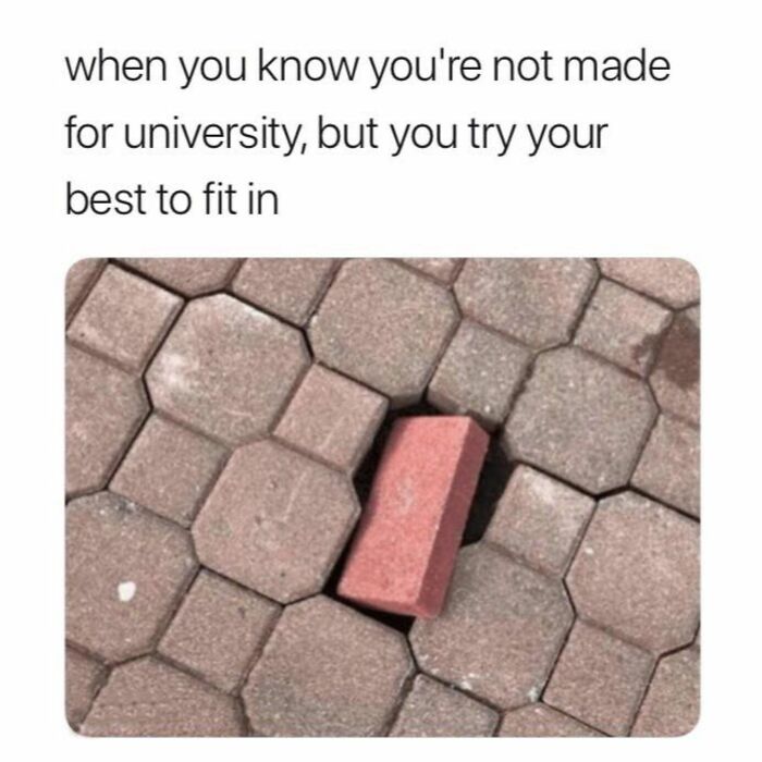 Funny-College-Memes-Humor-State-University