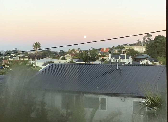 Bit Blurry And It Was Better Irl But It’s Still Kinda Pretty