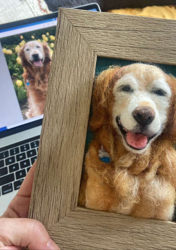 Artist Warms The Hearts Of Tutors With Felt Dolls Of Their Pets