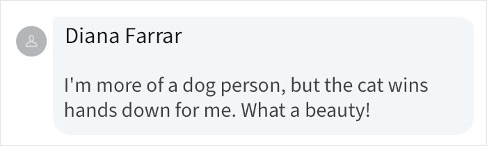 Artist Used AI To Put Animals On Magazine Covers And Here Are 9 Of The Images