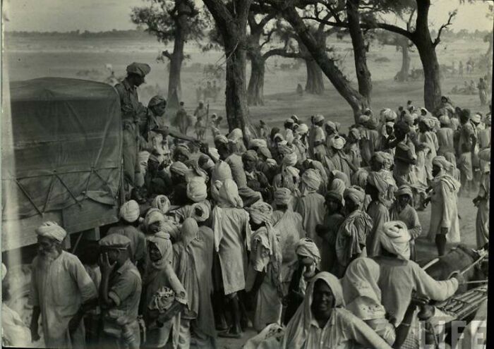 20 Personas comparten historias divertidas y curiosas sobre sus antepasados