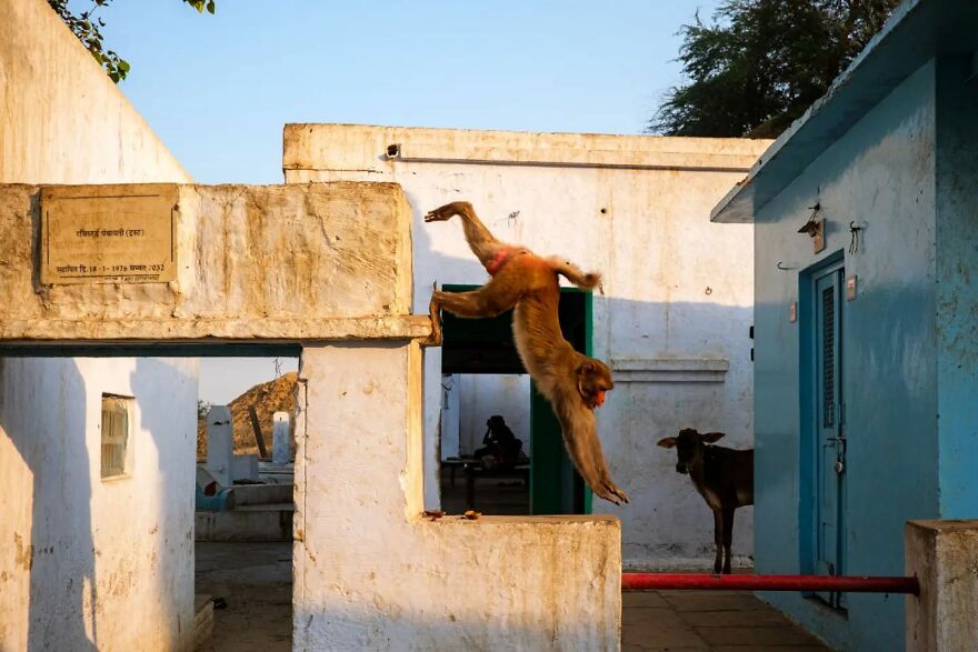 Photographer Takes To The Streets Capturing Unlikely Coincidences (53 New Pics)