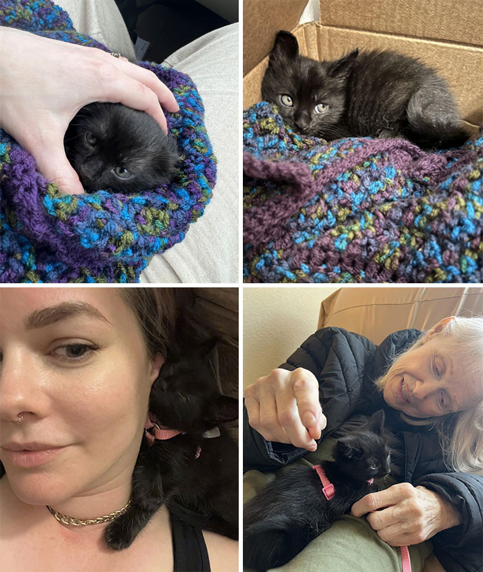 On Sunday, Hospice Told Me That Mom’s Lungs Were Starting To Fill With Fluid, Indicating The Start Of Organ Failure. My Mom Is Likely In Her Final Weeks Of Life