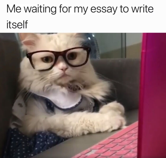 Funny-College-Memes-Humor-State-University