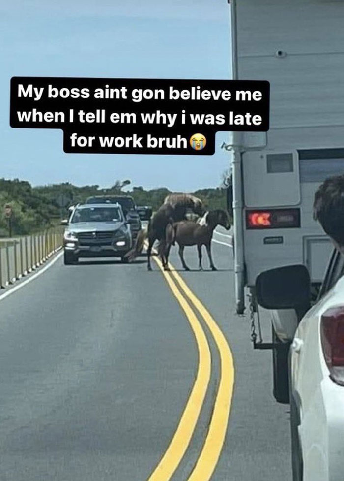 Hilarious-Memes-Twitter-Hourly