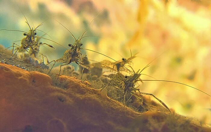 30 Facts That Sound Bizarre But Are Real, Shared By Folks In This Online Community