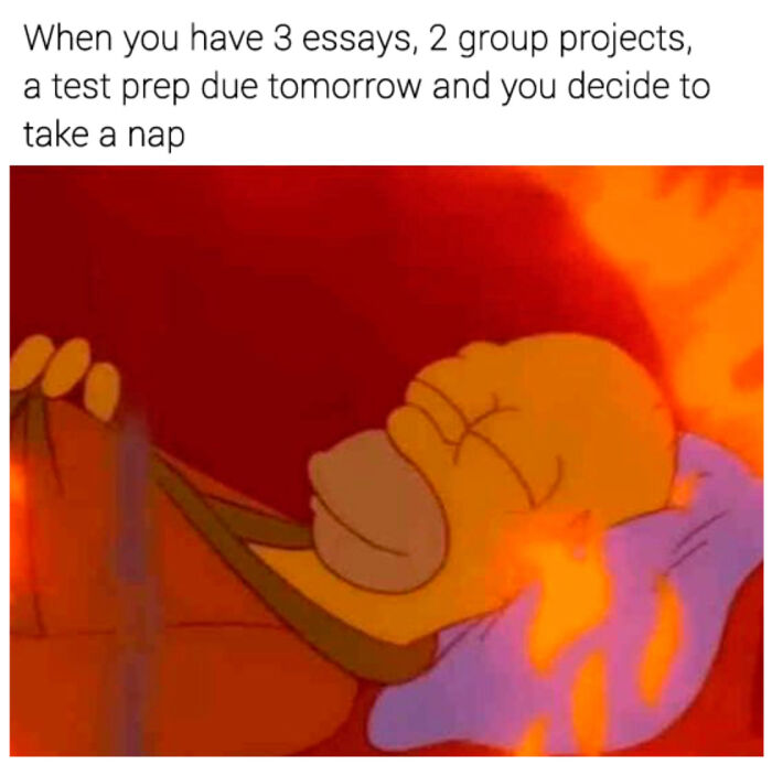 Funny-College-Memes-Humor-State-University