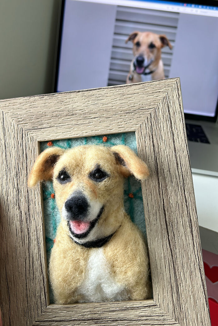 Artist Warms The Hearts Of Tutors With Felt Dolls Of Their Pets