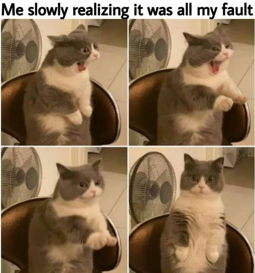 Things To Laugh At When You Are Trying To Be Serious In A Lecture Or Smthng