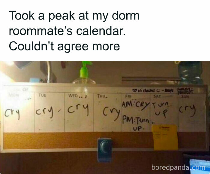 University student meme showing a weekly schedule of mostly "cry," humorously depicting college life stress.
