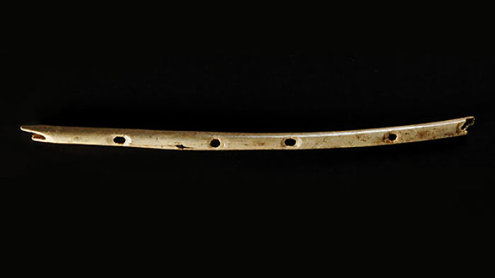 Oldest Instrument (40,000 Years Old)