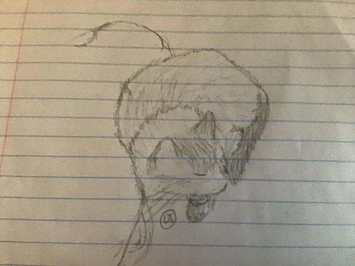 Franklyn. I Drew Him A Lot During Lockdown