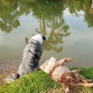 sandra_gleeson avatar