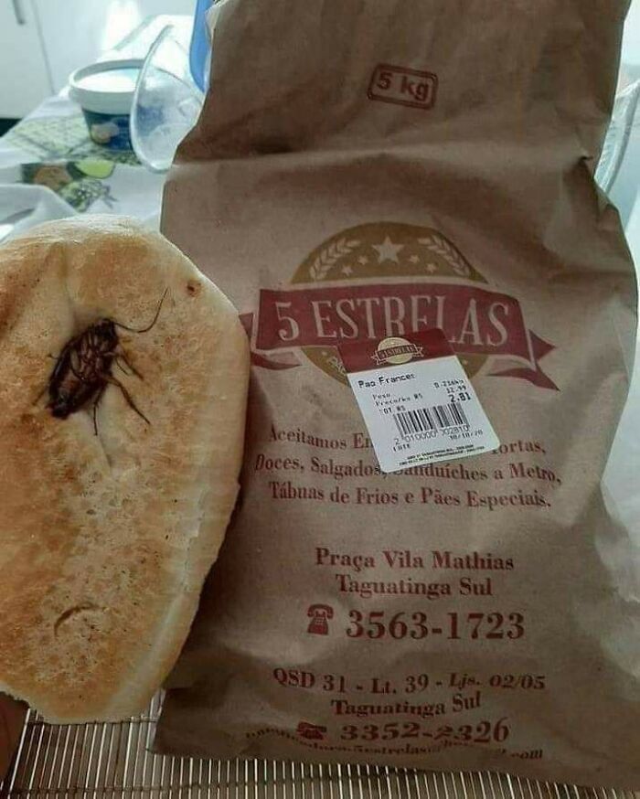 Unappetizing food pic with a large cockroach on bread next to a 5 kg bag labeled "5 Estrelas."