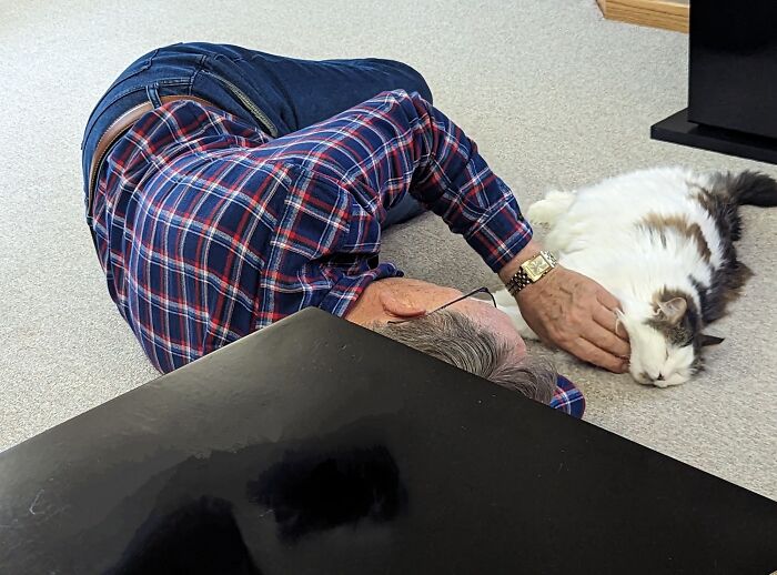 Man lying on floor in plaid shirt gently petting one of the cutest cats ever to melt your heart indoors.