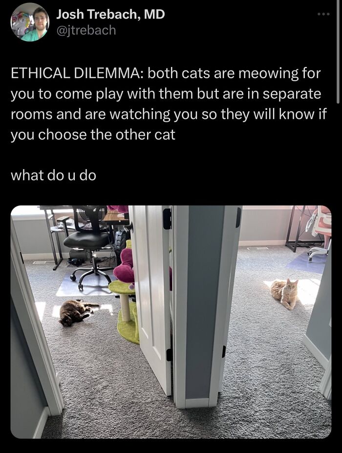 Well, What Do You Do?